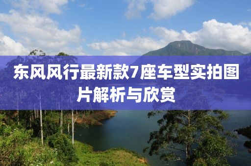 东风风行最新款7座车型实拍图片解析与欣赏