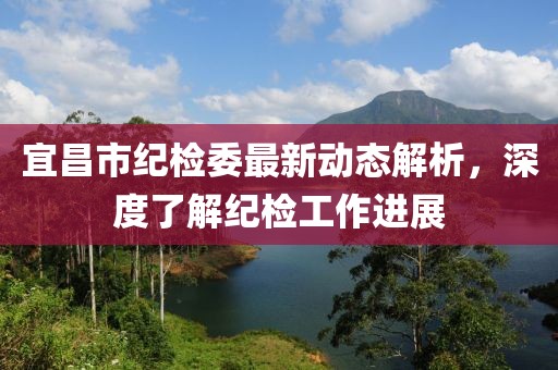 宜昌市纪检委最新动态解析，深度了解纪检工作进展