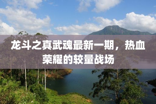 龙斗之真武魂最新一期，热血荣耀的较量战场