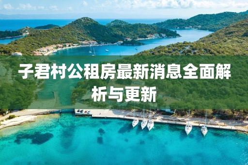 子君村公租房最新消息全面解析与更新
