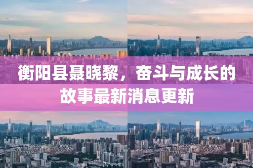 衡阳县聂晓黎，奋斗与成长的故事最新消息更新