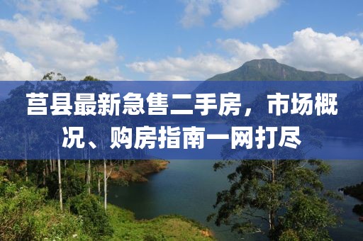 莒县最新急售二手房，市场概况、购房指南一网打尽