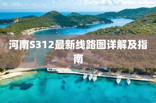 河南S312最新线路图详解及指南