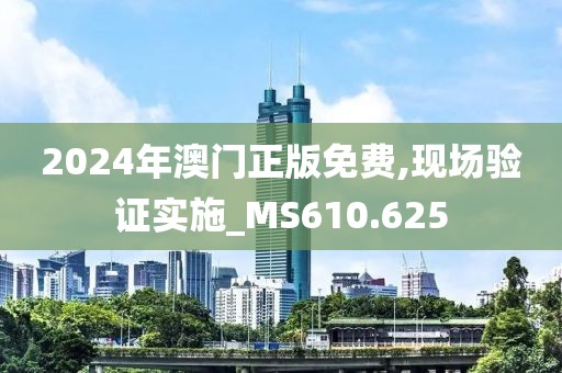2024年澳门正版免费,现场验证实施_MS610.625