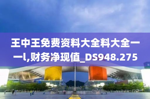 王中王免费资料大全料大全一一l,财务净现值_DS948.275