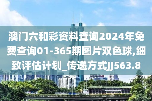 澳门六和彩资料查询2024年免费查询01-365期图片双色球,细致评估计划_传递方式JJ563.8