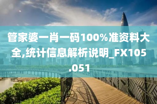 管家婆一肖一码100%准资料大全,统计信息解析说明_FX105.051