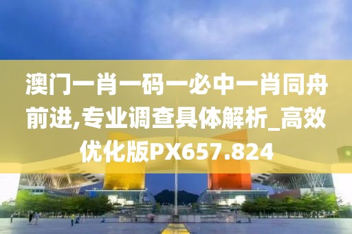 澳门一肖一码一必中一肖同舟前进,专业调查具体解析_高效优化版PX657.824