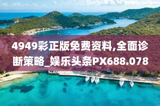 4949彩正版免费资料,全面诊断策略_娱乐头条PX688.078