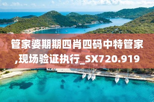 管家婆期期四肖四码中特管家,现场验证执行_SX720.919