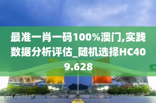 最准一肖一码100%澳门,实践数据分析评估_随机选择HC409.628