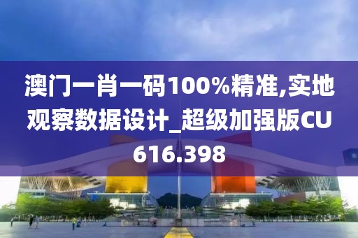 澳门一肖一码100%精准,实地观察数据设计_超级加强版CU616.398