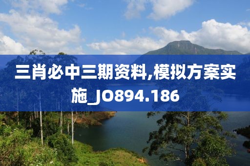 三肖必中三期资料,模拟方案实施_JO894.186