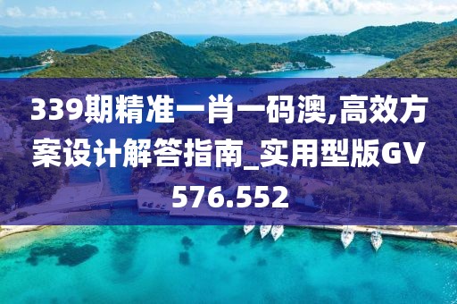 339期精准一肖一码澳,高效方案设计解答指南_实用型版GV576.552