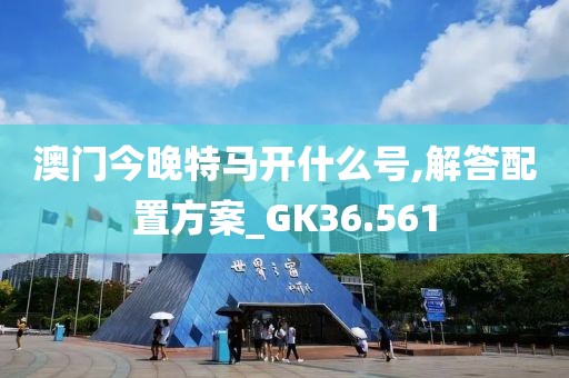 澳门今晚特马开什么号,解答配置方案_GK36.561