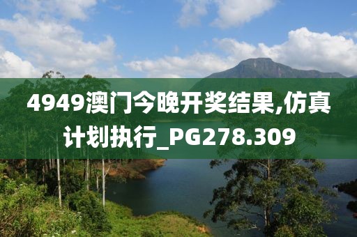 4949澳门今晚开奖结果,仿真计划执行_PG278.309