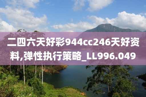 二四六天好彩944cc246天好资料,弹性执行策略_LL996.049