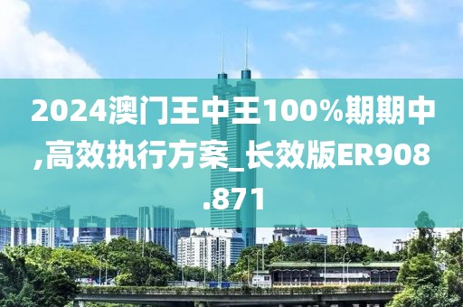 2024澳门王中王100%期期中,高效执行方案_长效版ER908.871
