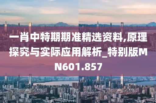 一肖中特期期准精选资料,原理探究与实际应用解析_特别版MN601.857