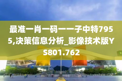 最准一肖一码一一子中特7955,决策信息分析_影像技术版YS801.762