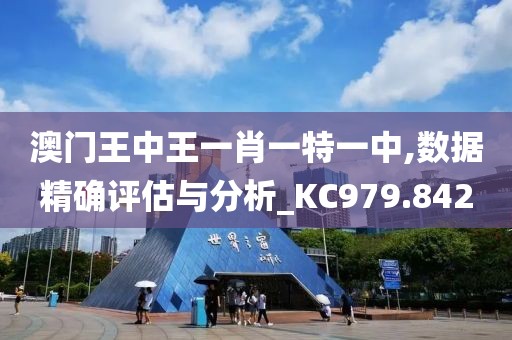 澳门王中王一肖一特一中,数据精确评估与分析_KC979.842