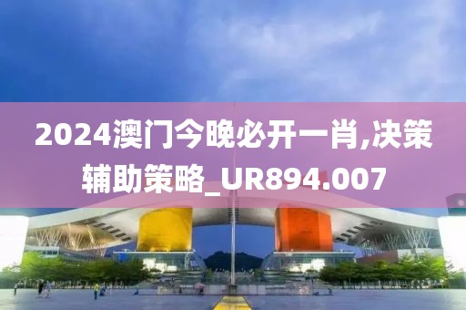 2024澳门今晚必开一肖,决策辅助策略_UR894.007