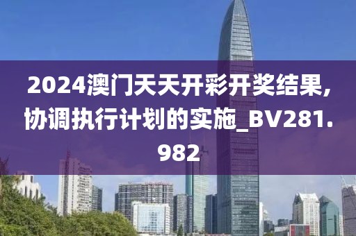 2024澳门天天开彩开奖结果,协调执行计划的实施_BV281.982