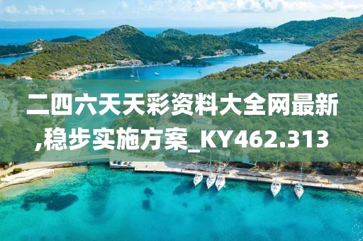 二四六天天彩资料大全网最新,稳步实施方案_KY462.313