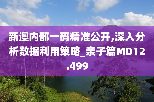 新澳内部一码精准公开,深入分析数据利用策略_亲子篇MD12.499
