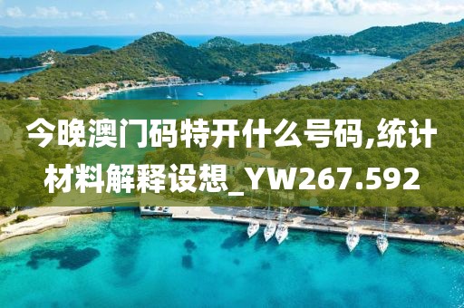 今晚澳门码特开什么号码,统计材料解释设想_YW267.592
