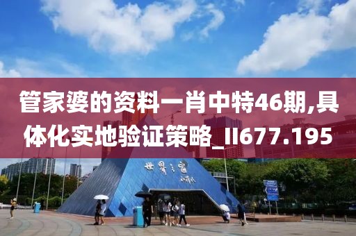 管家婆的资料一肖中特46期,具体化实地验证策略_II677.195