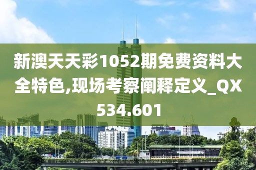 新澳天天彩1052期免费资料大全特色,现场考察阐释定义_QX534.601