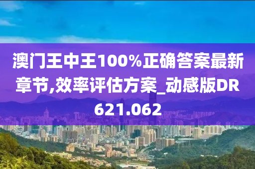 澳门王中王100%正确答案最新章节,效率评估方案_动感版DR621.062