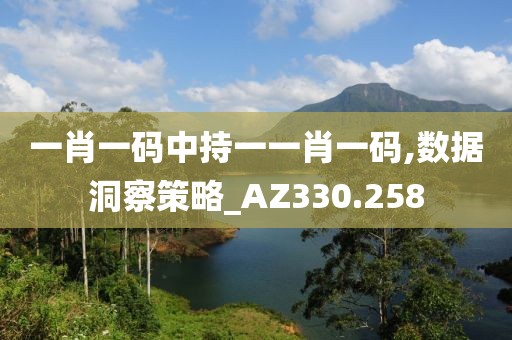 一肖一码中持一一肖一码,数据洞察策略_AZ330.258