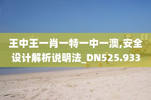 王中王一肖一特一中一澳,安全设计解析说明法_DN525.933