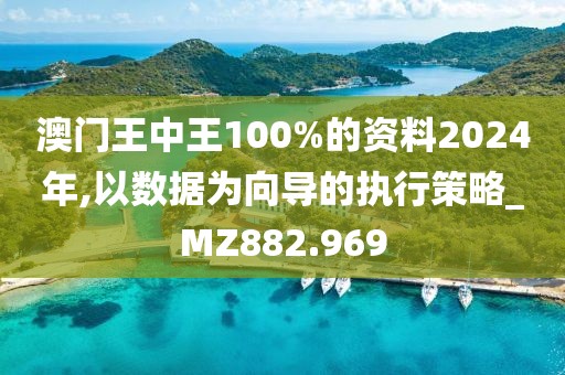 澳门王中王100%的资料2024年,以数据为向导的执行策略_MZ882.969