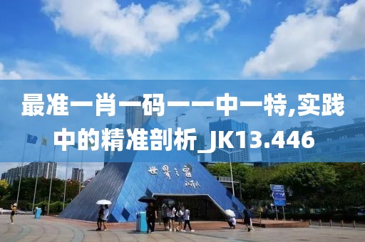 最准一肖一码一一中一特,实践中的精准剖析_JK13.446