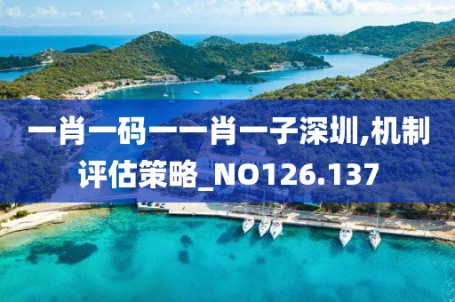 一肖一码一一肖一子深圳,机制评估策略_NO126.137