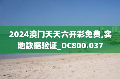 2024澳门天天六开彩免费,实地数据验证_DC800.037