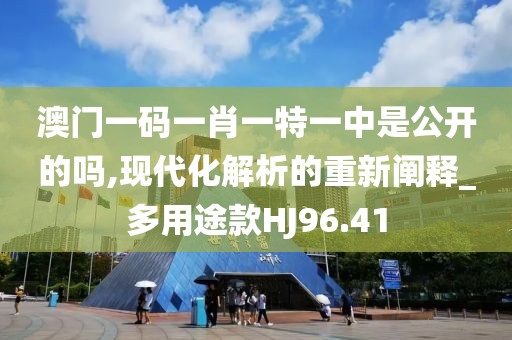 澳门一码一肖一特一中是公开的吗,现代化解析的重新阐释_多用途款HJ96.41