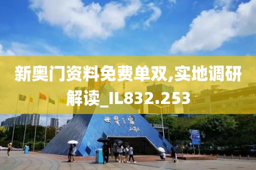 新奥门资料免费单双,实地调研解读_IL832.253