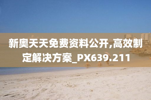 新奥天天免费资料公开,高效制定解决方案_PX639.211