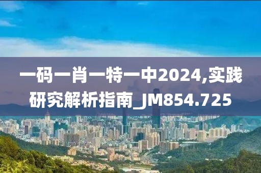 一码一肖一特一中2024,实践研究解析指南_JM854.725