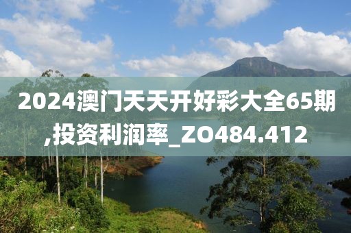 2024澳门天天开好彩大全65期,投资利润率_ZO484.412
