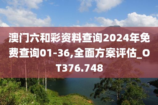 澳门六和彩资料查询2024年免费查询01-36,全面方案评估_OT376.748