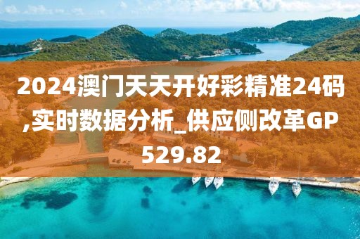 2024澳门天天开好彩精准24码,实时数据分析_供应侧改革GP529.82