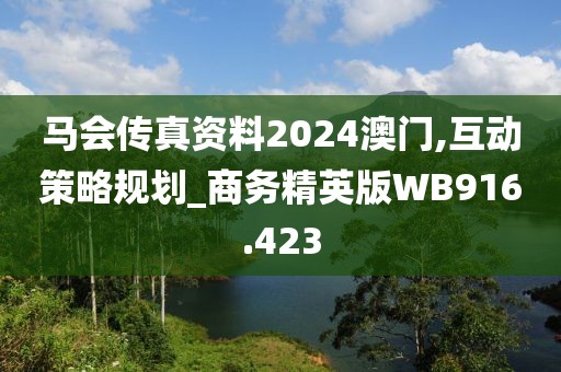 马会传真资料2024澳门,互动策略规划_商务精英版WB916.423