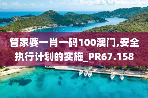 管家婆一肖一码100澳门,安全执行计划的实施_PR67.158