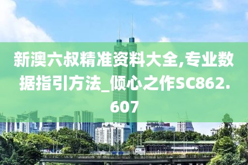 新澳六叔精准资料大全,专业数据指引方法_倾心之作SC862.607