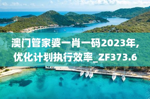 澳门管家婆一肖一码2023年,优化计划执行效率_ZF373.6